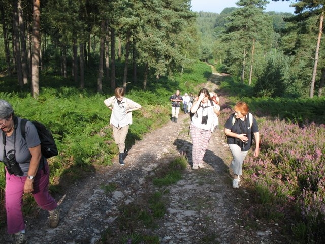 2007 08 Bois de Rochefort 13